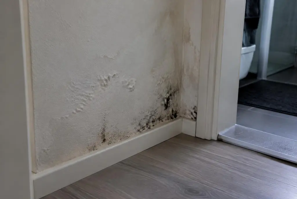 Lekdetectie Achterveld – vochtplek met schimmel op een muur